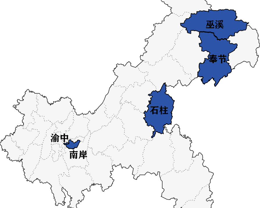重庆区域分公司分布示意图