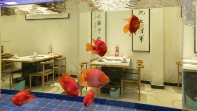 三峡餐厅店内用餐环境，第1张